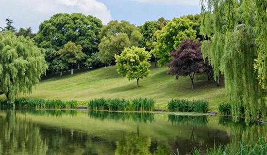 生态民宿室内负氧离子监测仪 让室内空气质量可视化数据化呈现